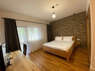 Отель Podina Resort Ungureni Двухместный номер с 1 кроватью и балконом-5