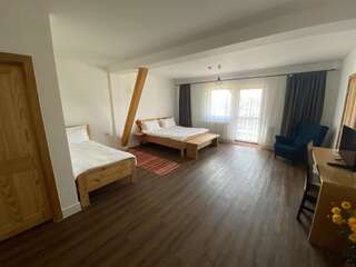 Отель Podina Resort Ungureni Апартаменты-5