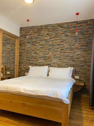 Отель Podina Resort Ungureni Двухместный номер с 1 кроватью-1